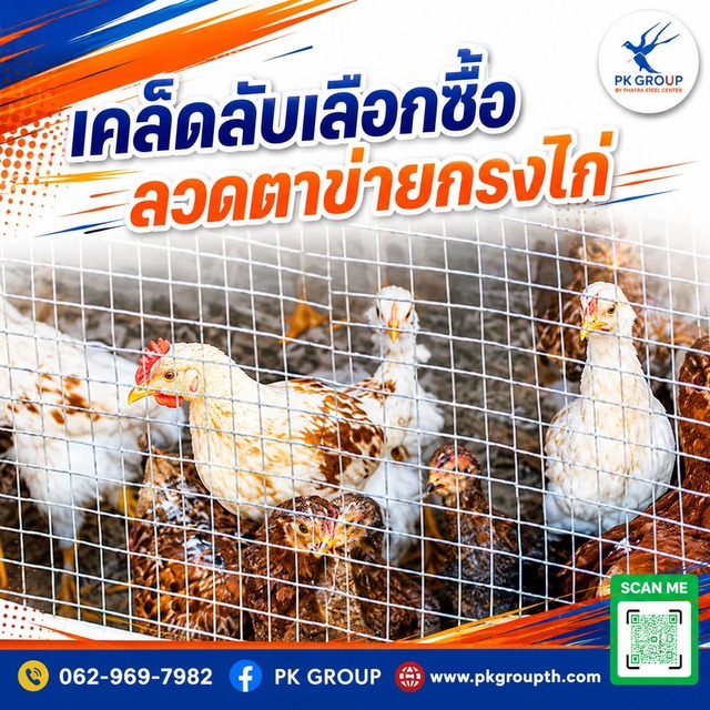 เคล็ดลับเลือกซื้อลวดตาข่ายกรงไก่ เคล็ดลับเลือกซื้อลวดตาข่ายกรงไก่