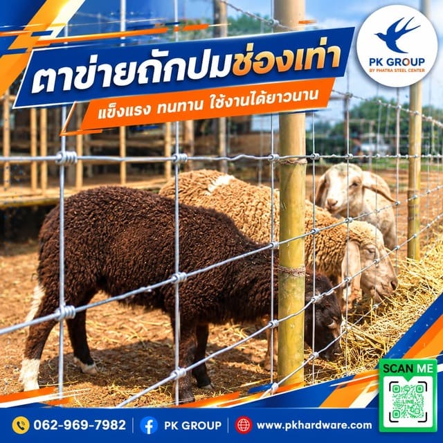 ตาข่ายถักปมช่องเท่า ตาข่ายถักปมช่องเท่า