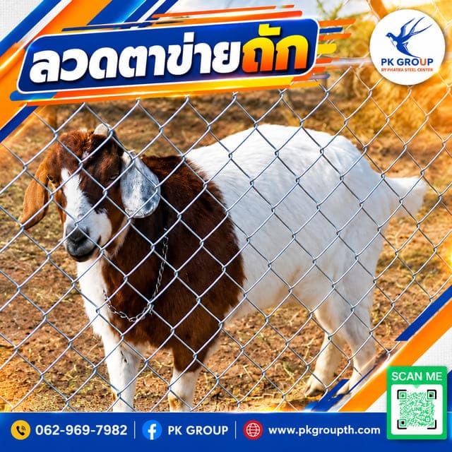 ลวดตาข่ายถักสำหรับการเลี้ยงสัตว์: เลือกแบบไหนให้เหมาะกับสัตว์แต่ละชนิด? ลวดตาข่ายถักสำหรับการเลี้ยงสัตว์: เลือกแบบไหนให้เหมาะกับสัตว์แต่ละชนิด?