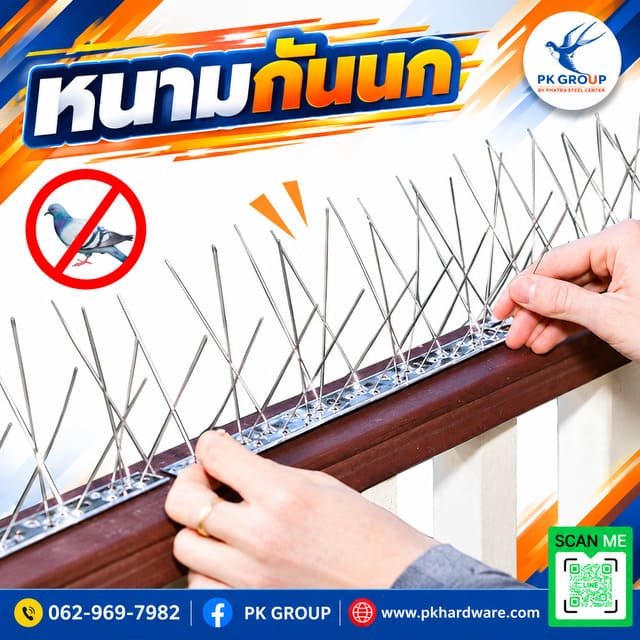 หนามกันนก, หนามไล่นก หนามกันนก, หนามไล่นก