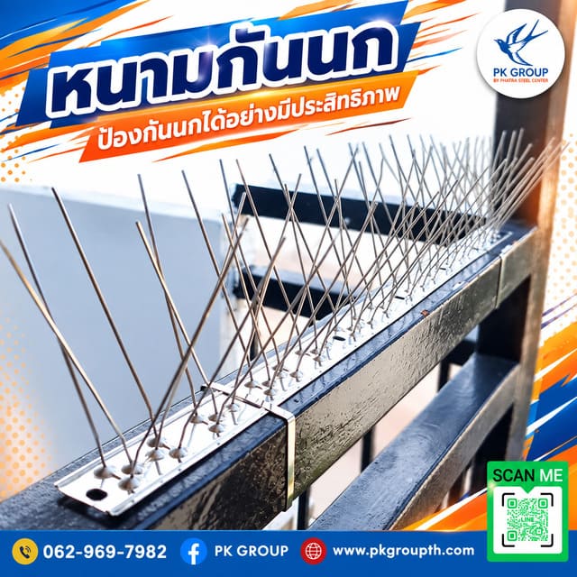 หนามกันนก, หนามไล่นก หนามกันนก, หนามไล่นก