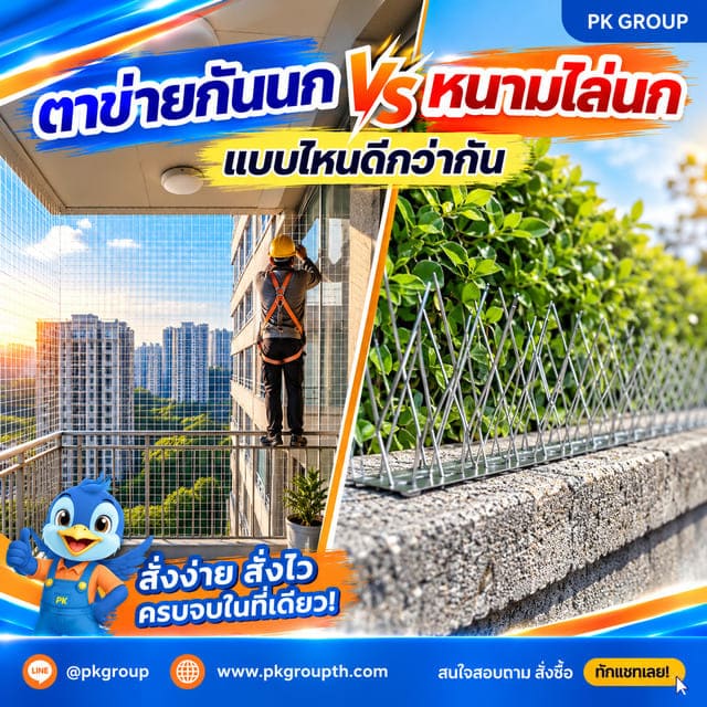 ตาข่ายกันนก vs หนามไล่นก แบบไหนดีกว่ากัน ตาข่ายกันนก vs หนามไล่นก แบบไหนดีกว่ากัน
