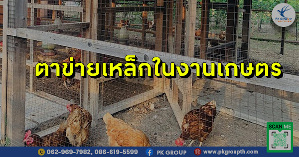 ตาข่ายเหล็กในงานเกษตร