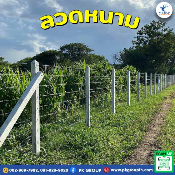 ลวดหนามล้อมรั้ว
