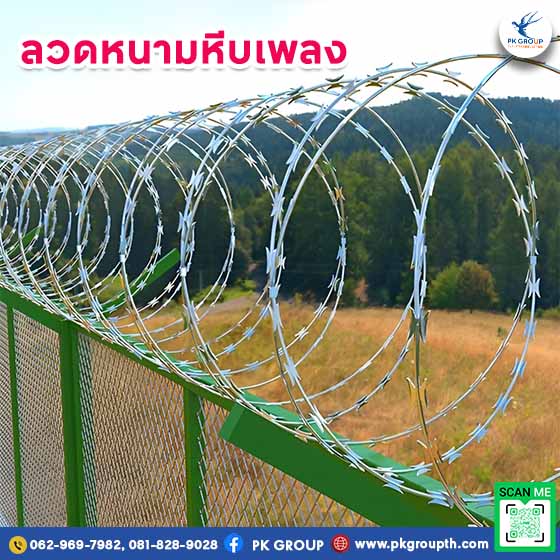 ลวดหนามหีบเพลงล้อมรั้ว