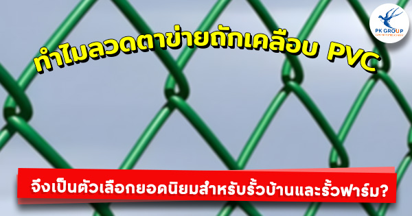 ทำไมลวดตาข่ายถักเคลือบ PVC จึงเป็นตัวเลือกยอดนิยมสำหรับรั้วบ้านและรั้วฟาร์ม?