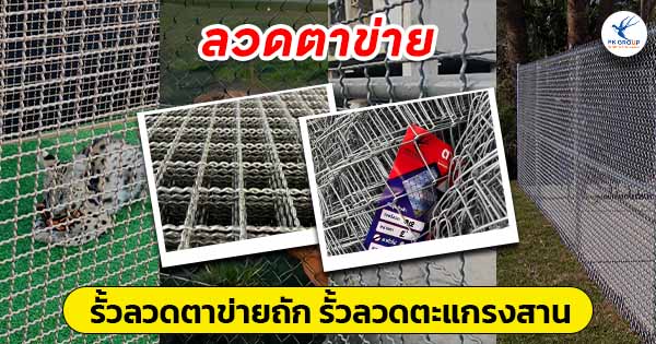 รั้วลวดตาข่าย รั้วลวดตาข่ายถัก รั้วตะแกรงสาน