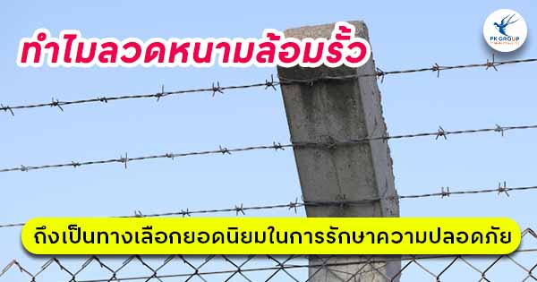 ทำไมลวดหนามล้อมรั้วถึงเป็นทางเลือกยอดนิยมในการรักษาความปลอดภัย